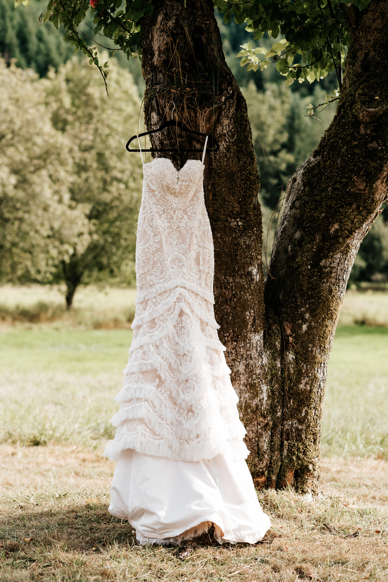 Elegant boho wedding dress hanging in a tree