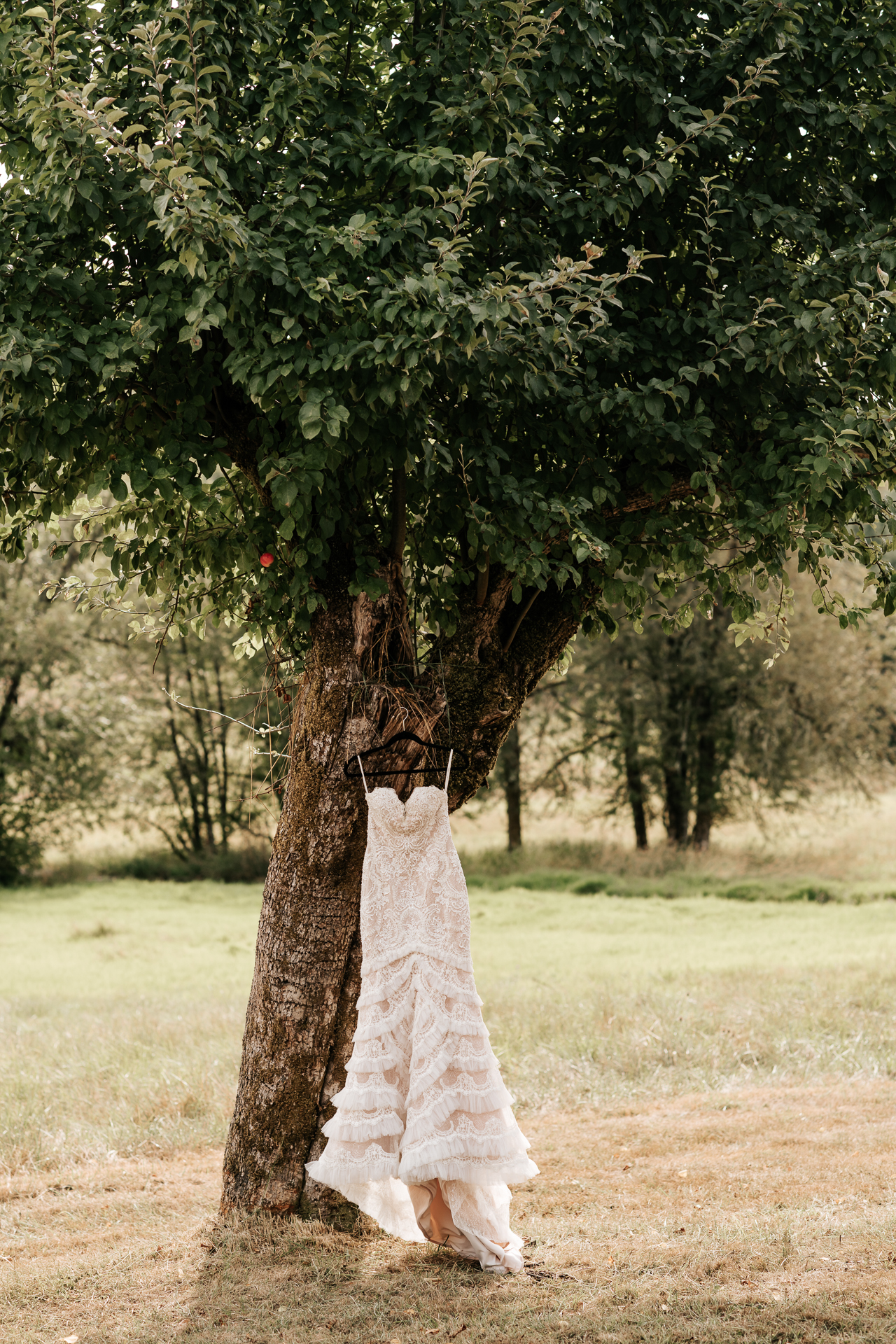Boho wedding dress hanging from an apple tree